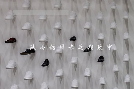 陕西信用卡逾期政审 陕西信用卡逾期政审