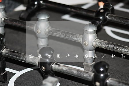 陕西信用卡逾期还不起怎么办 陕西信用卡逾期还不起怎么办
