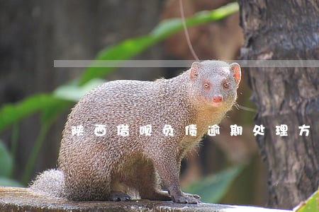 陕西借呗负债逾期处理方法 陕西借呗负债逾期处理方法