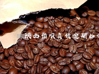 陕西借呗负债逾期如何规划还款 陕西借呗负债逾期如何规划还款