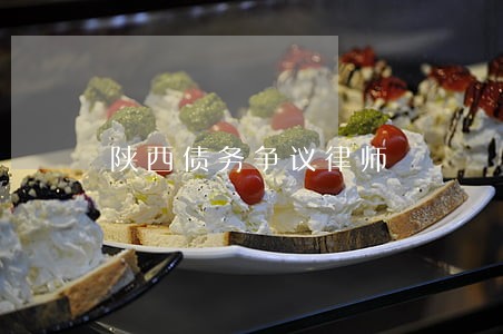 陕西债务争议律师
