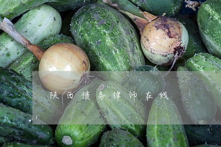 陕西债务律师在线 陕西债务律师在线