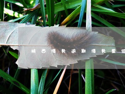 陕西债务逾期债务重组协商方法 陕西债务逾期债务重组协商方法