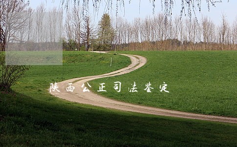 陕西公正司法鉴定 陕西公正司法鉴定