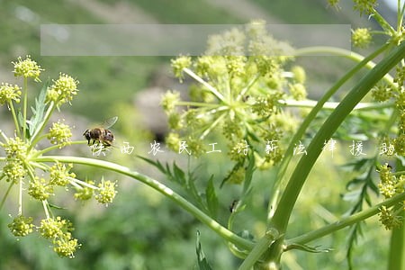 陕西农民工讨薪法律援助 陕西农民工讨薪法律援助