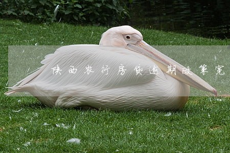 陕西农行房贷逾期政策宽限期 陕西农行房贷逾期政策宽限期