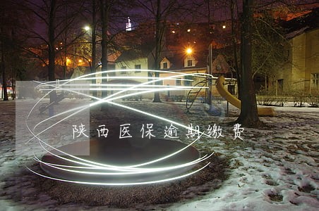 陕西医保逾期缴费 陕西医保逾期缴费