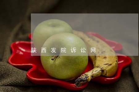 陕西发院诉讼网