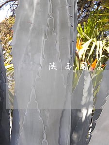 陕西司法所改革现场会 陕西司法所改革现场会