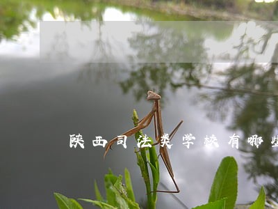 陕西司法类学校有哪些 陕西司法类学校有哪些