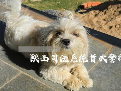 陕西司法系统首次警衔 陕西司法系统首次警衔