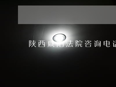 陕西咸阳法院咨询电话