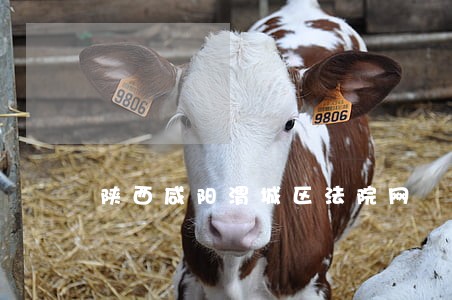 陕西咸阳渭城区法院网
