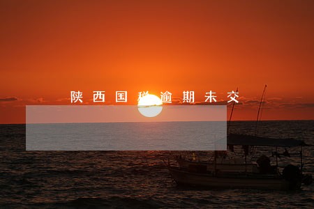 陕西国税逾期未交 陕西国税逾期未交