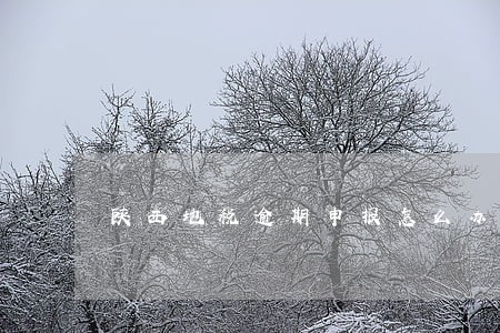 陕西地税逾期申报怎么办 陕西地税逾期申报怎么办