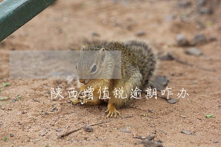 陕西增值税逾期咋办 陕西增值税逾期咋办