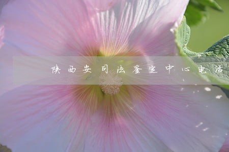 陕西安司法鉴定中心电话是多少