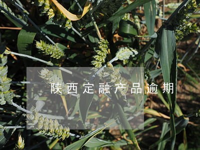 陕西定融产品逾期 陕西定融产品逾期