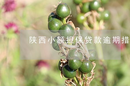 陕西小额担保贷款逾期措施 陕西小额担保贷款逾期措施
