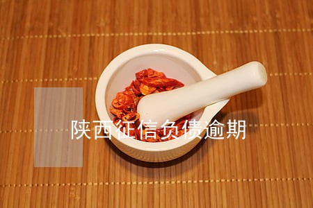 陕西征信负债逾期 陕西征信负债逾期