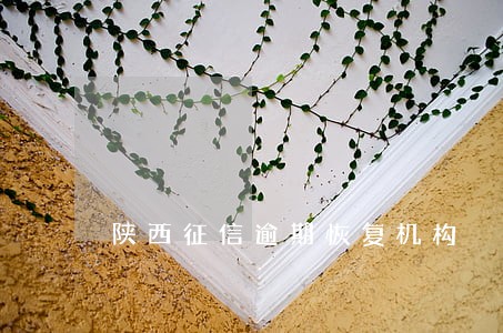 陕西征信逾期恢复机构 陕西征信逾期恢复机构