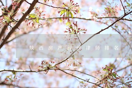 陕西房产纠纷律师排名 陕西房产纠纷律师排名