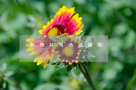 陕西打电话说逾期 陕西打电话说逾期