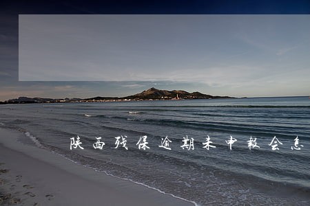 陕西残保逾期未申报会怎么样 陕西残保逾期未申报会怎么样