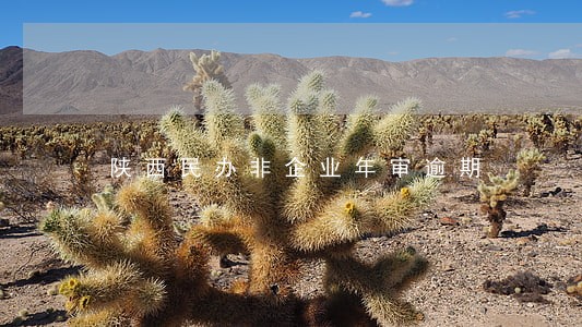 陕西民办非企业年审逾期 陕西民办非企业年审逾期
