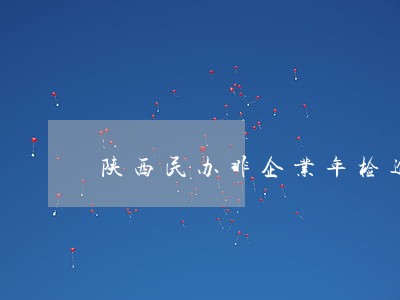 陕西民办非企业年检逾期 陕西民办非企业年检逾期
