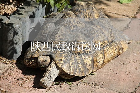 陕西民政诉讼网 陕西民政诉讼网
