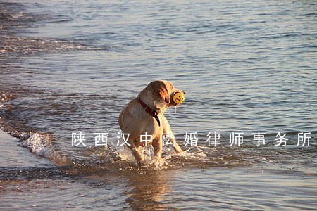 陕西汉中离婚律师事务所 陕西汉中离婚律师事务所