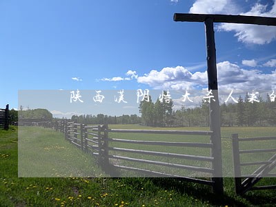 陕西汉阴特大杀人案的法律关系