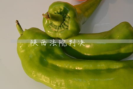 陕西法院判决 陕西法院判决