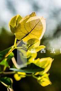 陕西法院开庭网络直播