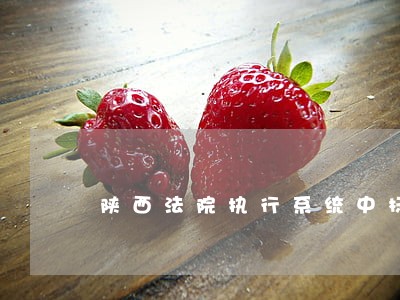 陕西法院执行系统中标