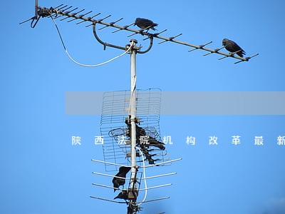 陕西法院机构改革最新方案 陕西法院机构改革最新方案