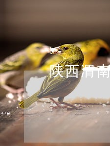 陕西渭南离婚律师 陕西渭南离婚律师