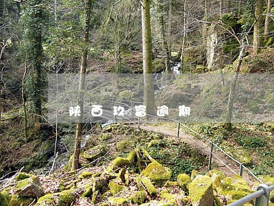 陕西玖富逾期 陕西玖富逾期