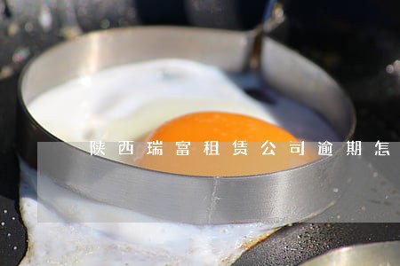 陕西瑞富租赁公司逾期怎么协商 陕西瑞富租赁公司逾期怎么协商