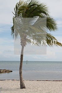 陕西电动自行车上牌违法了 陕西电动自行车上牌违法了