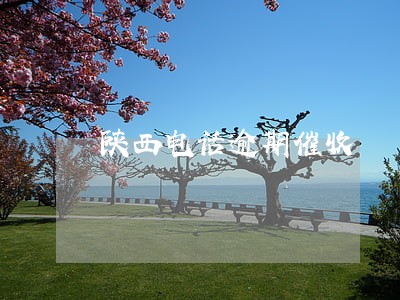 陕西电话逾期催收 陕西电话逾期催收