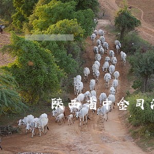 陕西省中金司法 陕西省中金司法