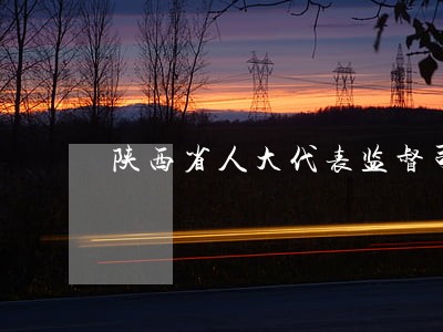 陕西省人大代表监督司法 陕西省人大代表监督司法