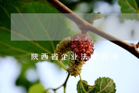 陕西省企业法律顾问 陕西省企业法律顾问