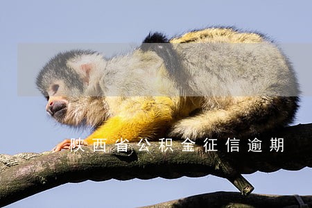 陕西省公积金征信逾期 陕西省公积金征信逾期