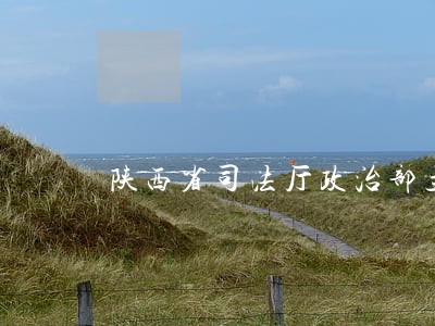 陕西省司法厅政治部主任是谁