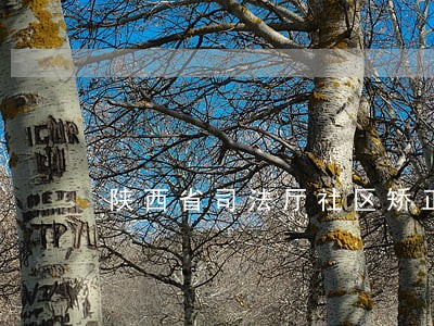 陕西省司法厅社区矫正管理局 陕西省司法厅社区矫正管理局