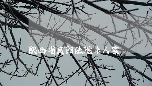 陕西省咸阳法院杀人案 陕西省咸阳法院杀人案