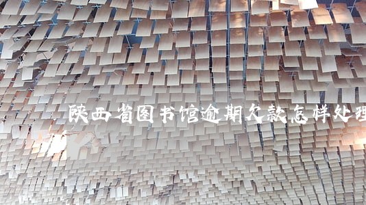 陕西省图书馆逾期欠款怎样处理 陕西省图书馆逾期欠款怎样处理